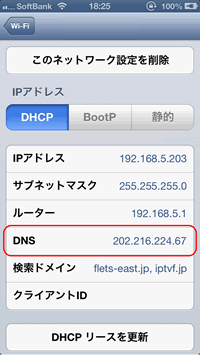 iPhone Wi-Fi DNS Settings